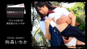 heyzo-1060 放課後美少女ファイル No.12~真性美少女・いちか~
